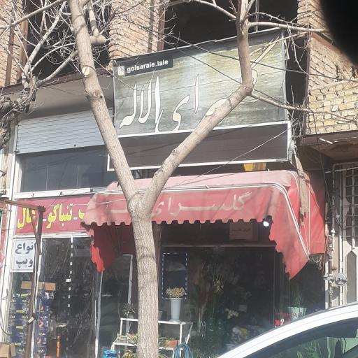 گلسرای لاله