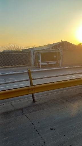 عکس قالیشوئی