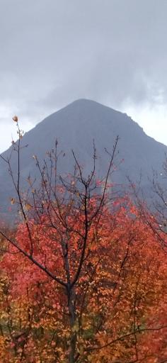 عکس کشکسرای