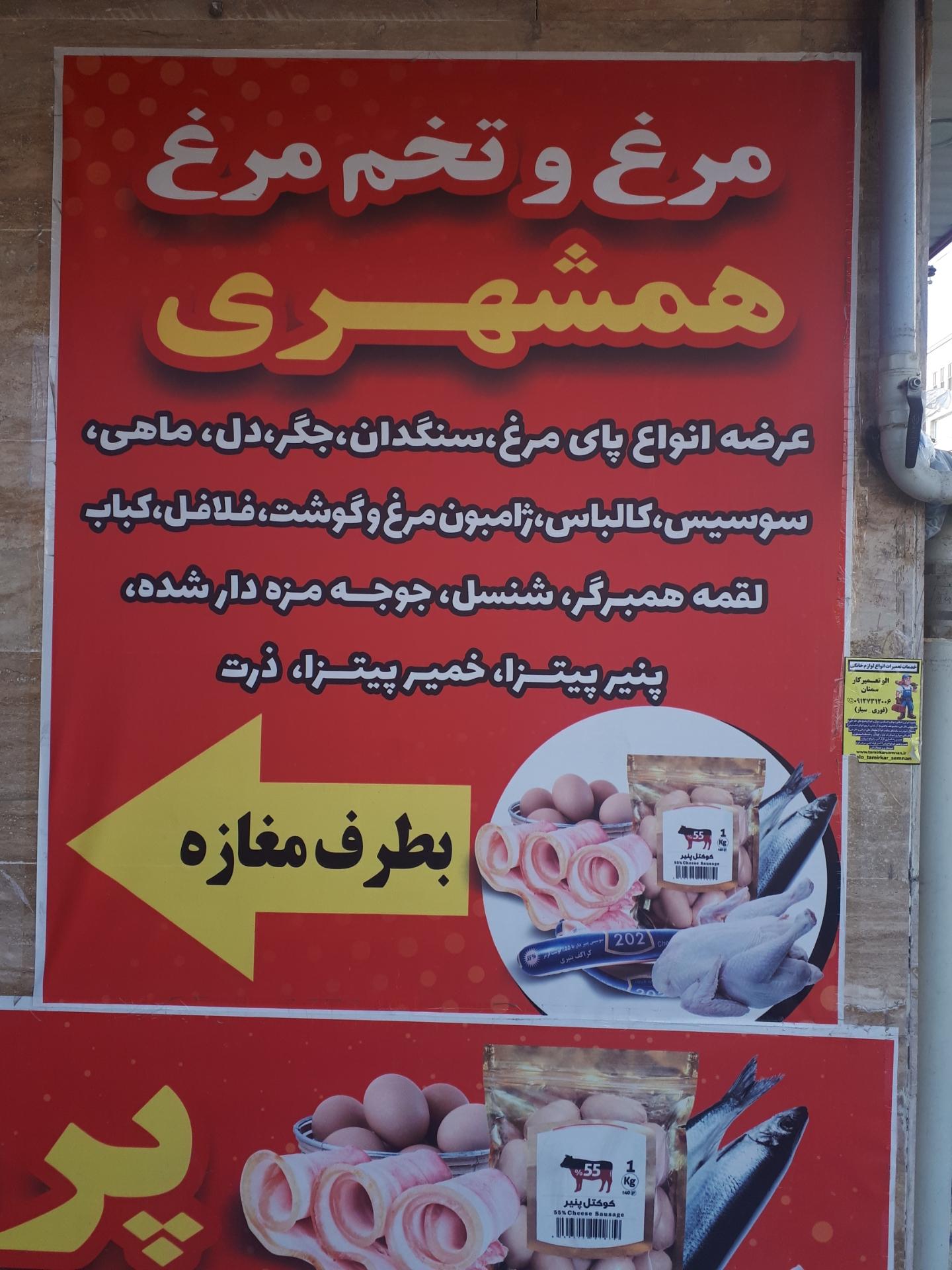 عکس پروتئینی همشهری