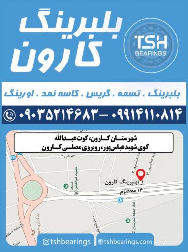 عکس بلبرینگ کارون