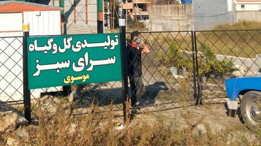 عکس گل و گیاه سرای سبز