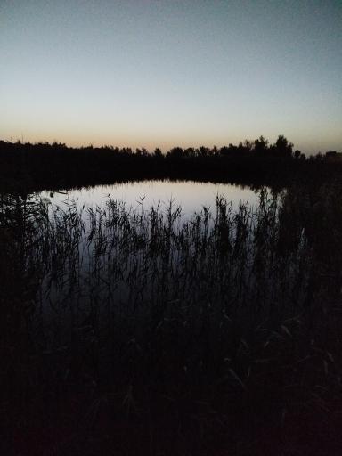 کچیان
