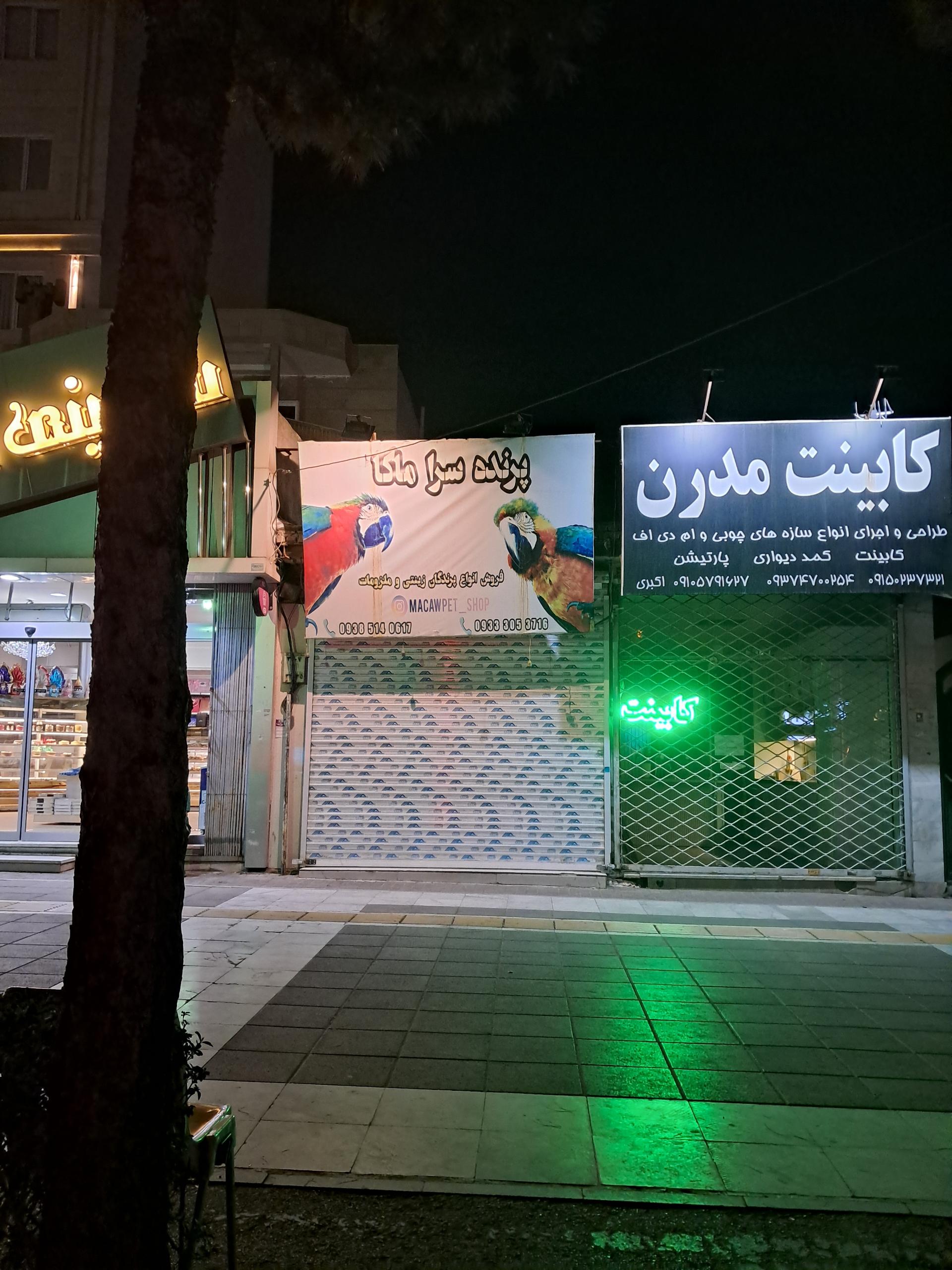 عکس پرنده سرا ماکا