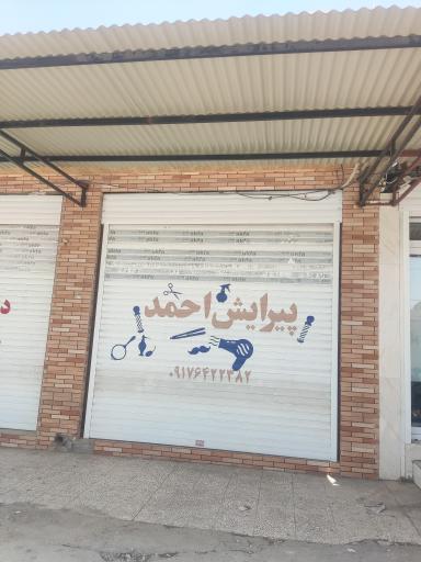 عکس پیرایش احمد 