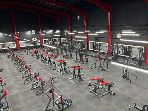 باشگاه بدنسازی مالک محمدی