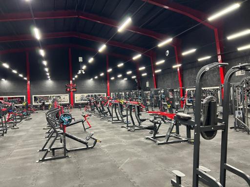 عکس باشگاه بدنسازی مالک محمدی