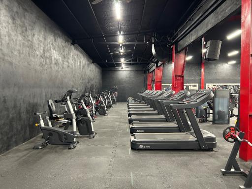 عکس باشگاه بدنسازی مالک محمدی