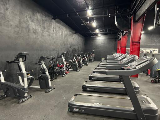 عکس باشگاه بدنسازی مالک محمدی