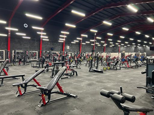 عکس باشگاه بدنسازی مالک محمدی