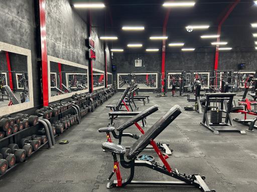 عکس باشگاه بدنسازی مالک محمدی