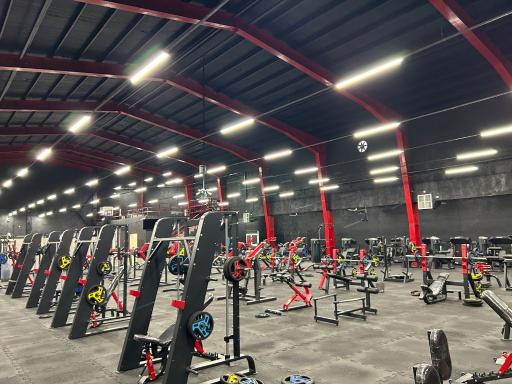 عکس باشگاه بدنسازی مالک محمدی