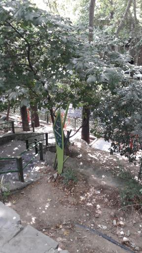 عکس بوستان خزر