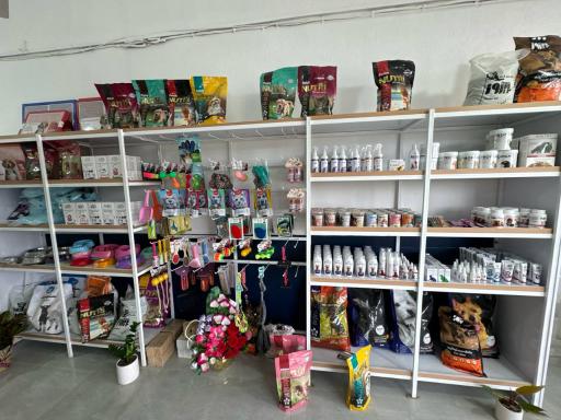 عکس کلینیک دامپزشکی صوفی