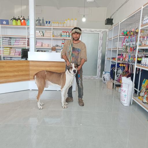 عکس کلینیک دامپزشکی صوفی