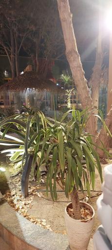 عکس کافه رستوران نویان