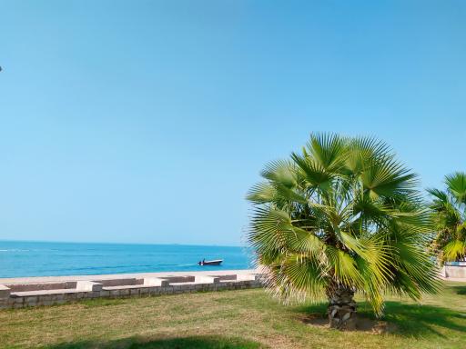 عکس مجموعه کافی شاپ ها