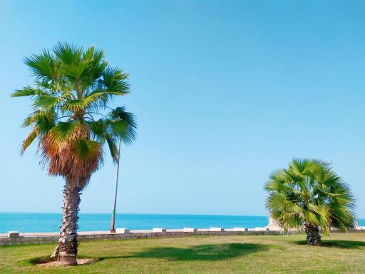 عکس مجموعه کافی شاپ ها