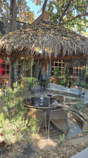 عکس کافه رستوران نویان