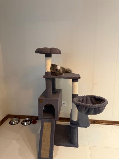 عکس پت شاپ چنگو