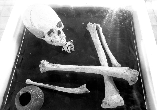 عکس موزه تاریخ شهر دامغان (خانه لطفی)