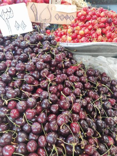 عکس میوه تندیس