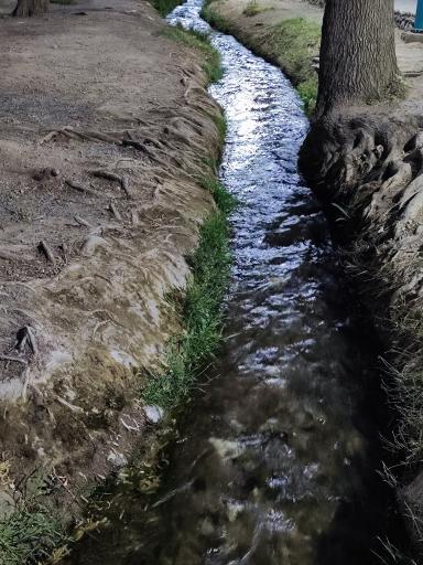 عکس پارک کوثر (چشمه حسن آباد مهریز)