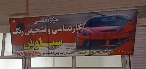 عکس تشخیص رنگ و کارشناسی خودرو سیاوش 