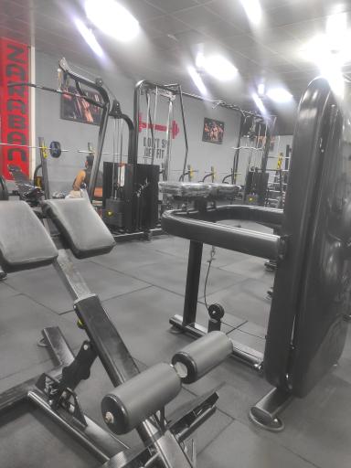 عکس باشگاه بدنسازی ضربان 