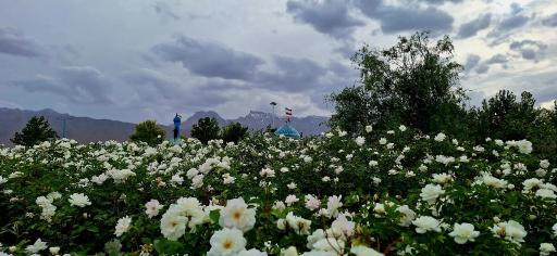 عکس پارک کوثر (چشمه حسن آباد مهریز)