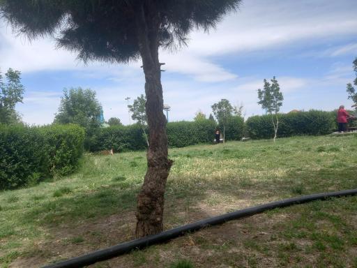عکس پارک کوثر (چشمه حسن آباد مهریز)