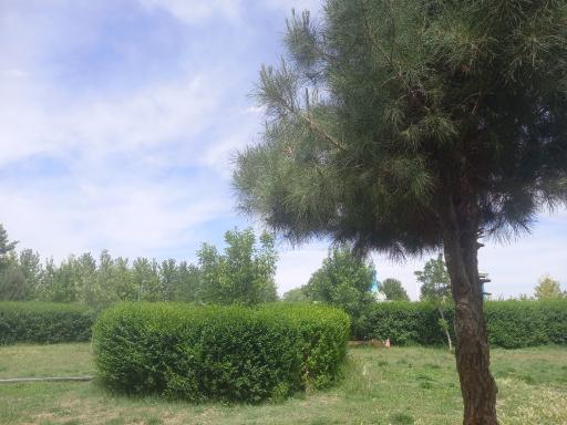 عکس پارک کوثر (چشمه حسن آباد مهریز)