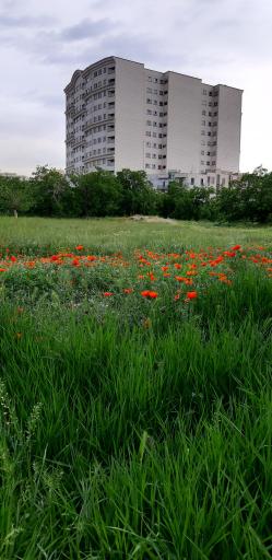 برج رونیکا پالاس مجلل