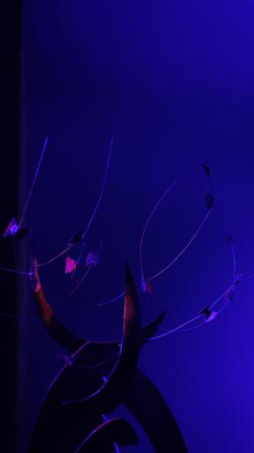 عکس نگارخانه هوم