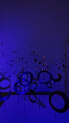 عکس نگارخانه هوم