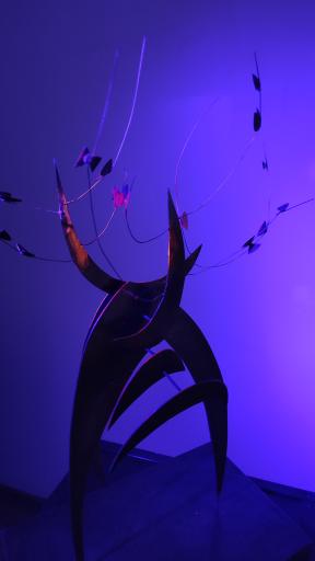 عکس نگارخانه هوم