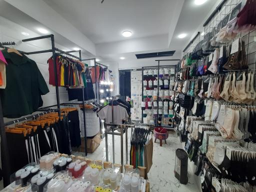 عکس گالری ماهور