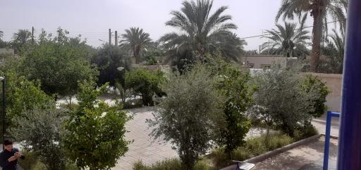 عکس بوستان وحدت