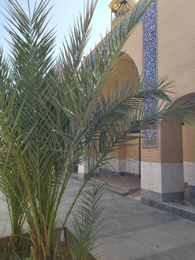 عکس مسجد محمد رسول الله