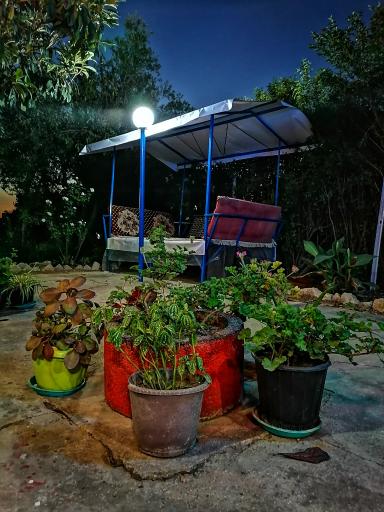 عکس بستنی و فالوده امیرحسین