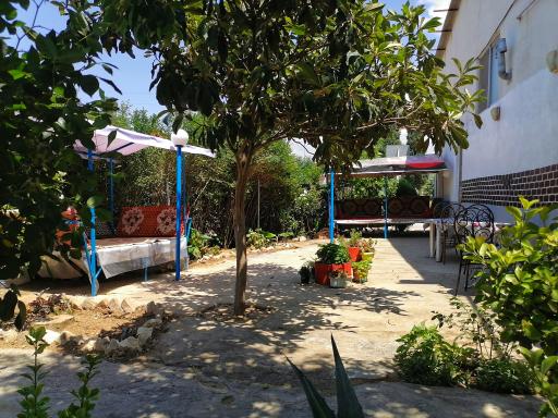 عکس بستنی و فالوده امیرحسین