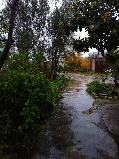 عکس بستنی و فالوده امیرحسین