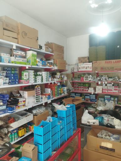 الکتریکی اندیشه 