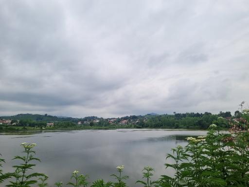 عکس برکه سیدوارستان 