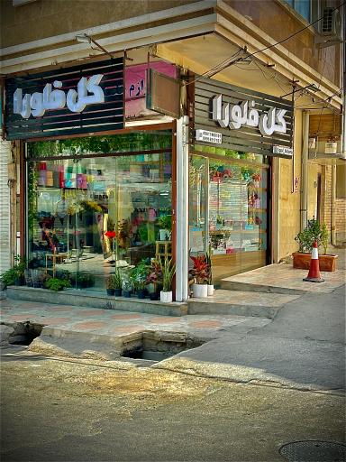 عکس گل فلورا