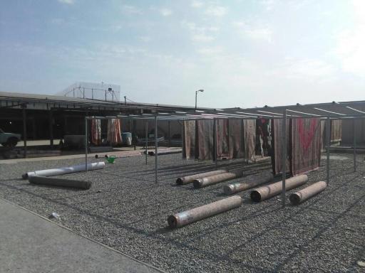 عکس قالیشویی صداقت