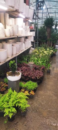 عکس قصر گل دهکده