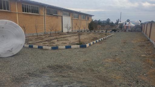 عکس صنایع غذائی هم دانه