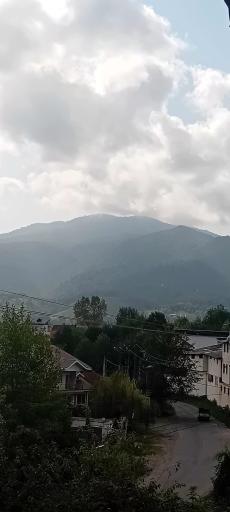 عکس ازبرم