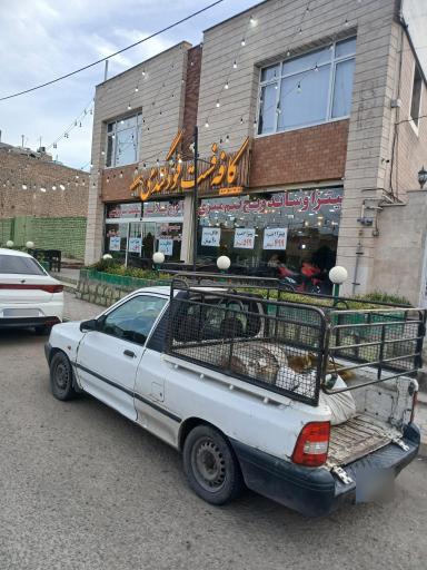عکس فست فود گندمی
